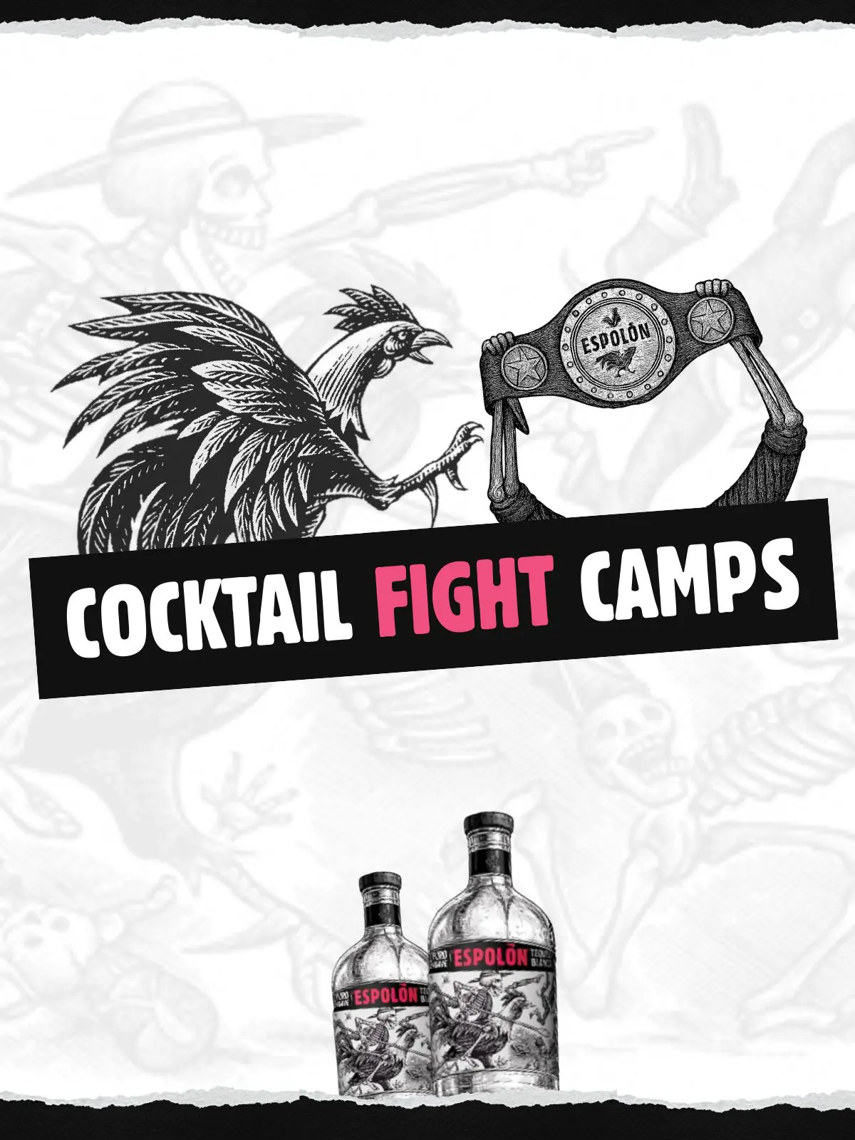 Fight Camps Mobile View